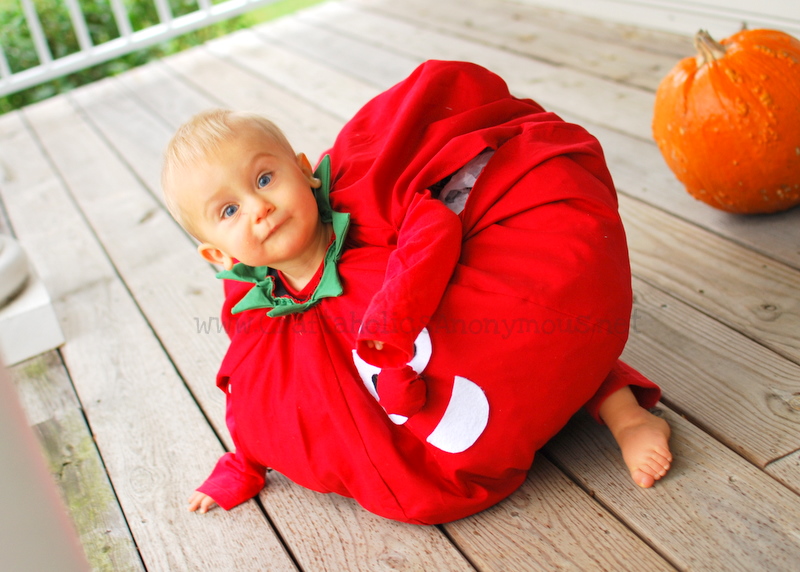 Heinz Ketchup Packet Infant Bunting Costume