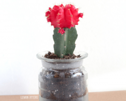 Turn a dollar store planter into a cute vase with this quick and easy tutorial!