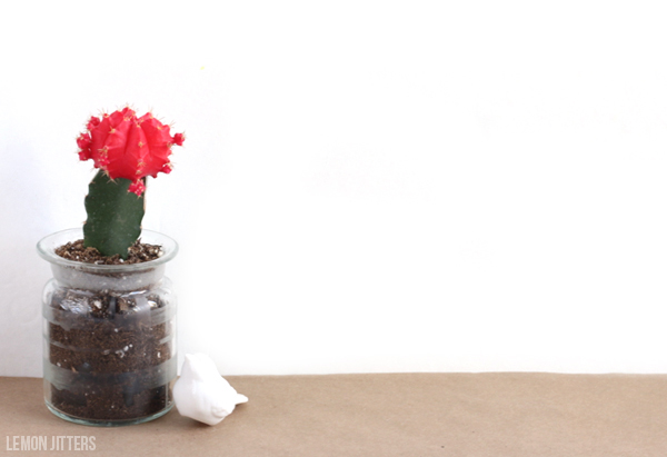 Adorable etched planter! spring craft