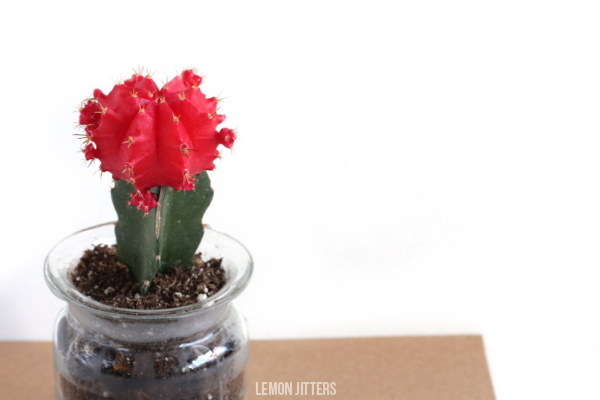 How to etch glass with tips and tricks! garden craft
