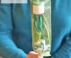 St. PAtrick's day craft