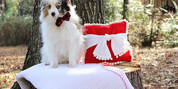 christmas pillow