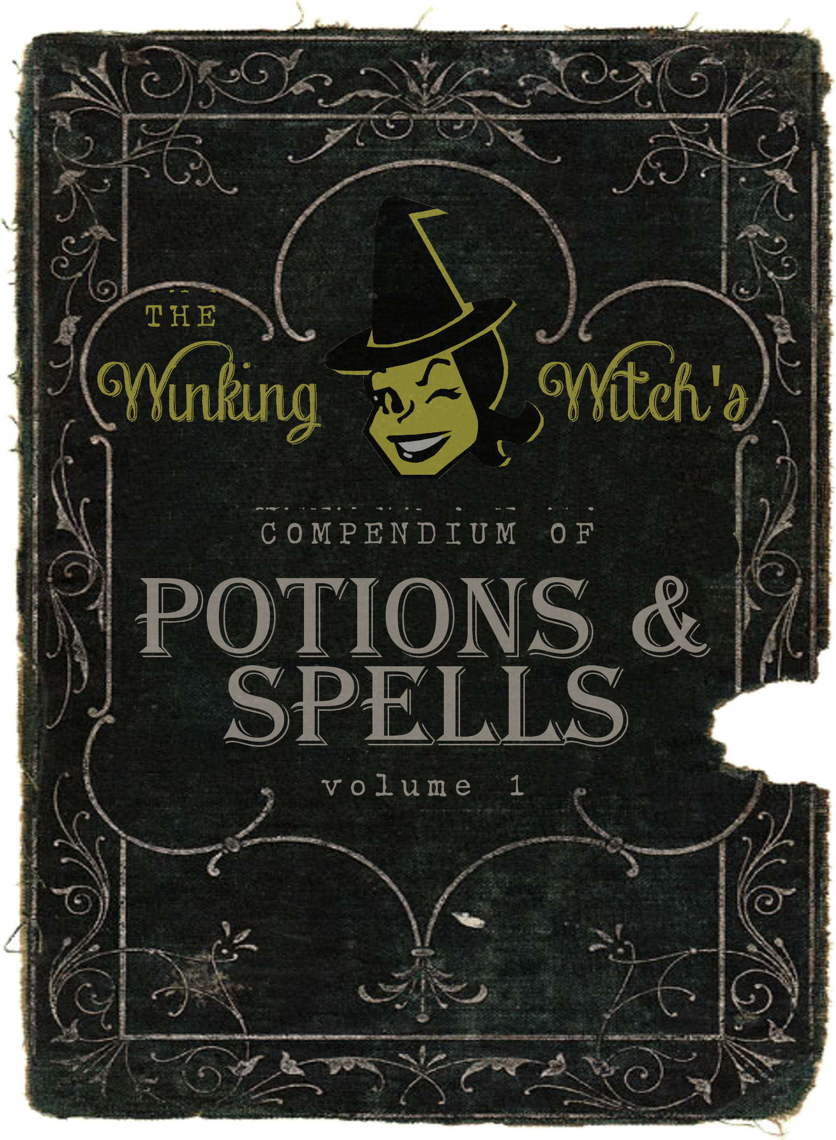 Witches Spell Book aged printed book pages, Halloween Prop by Dead Head  Props