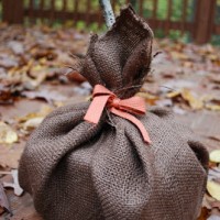 TP and brown burlap pumpkin