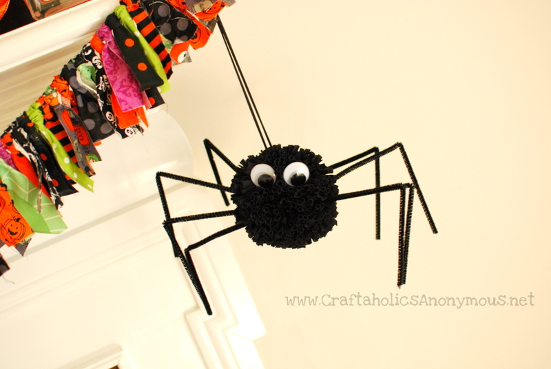 pom spider