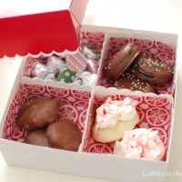 treat boxes