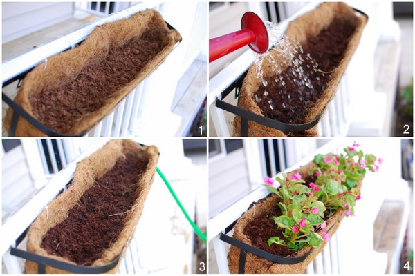 flower planter