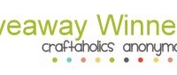 giveaway winners
