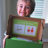 Window Garden Kiwi Crate 