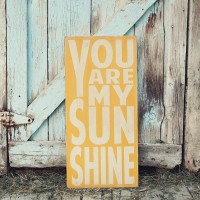 you are my sunshine sign