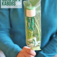 St. Patrick’s Day Craft: Candy Kabobs