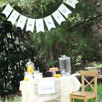 lemonade stand for kids