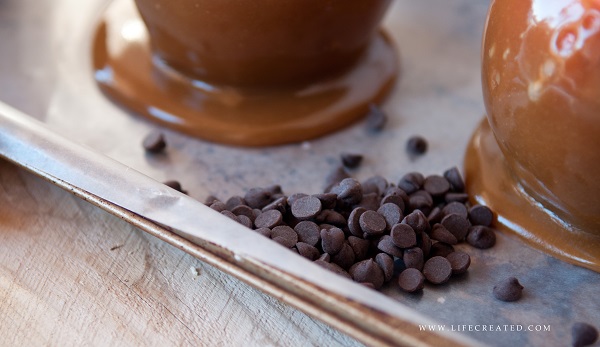 mini chocolate chips mini chocolate chips