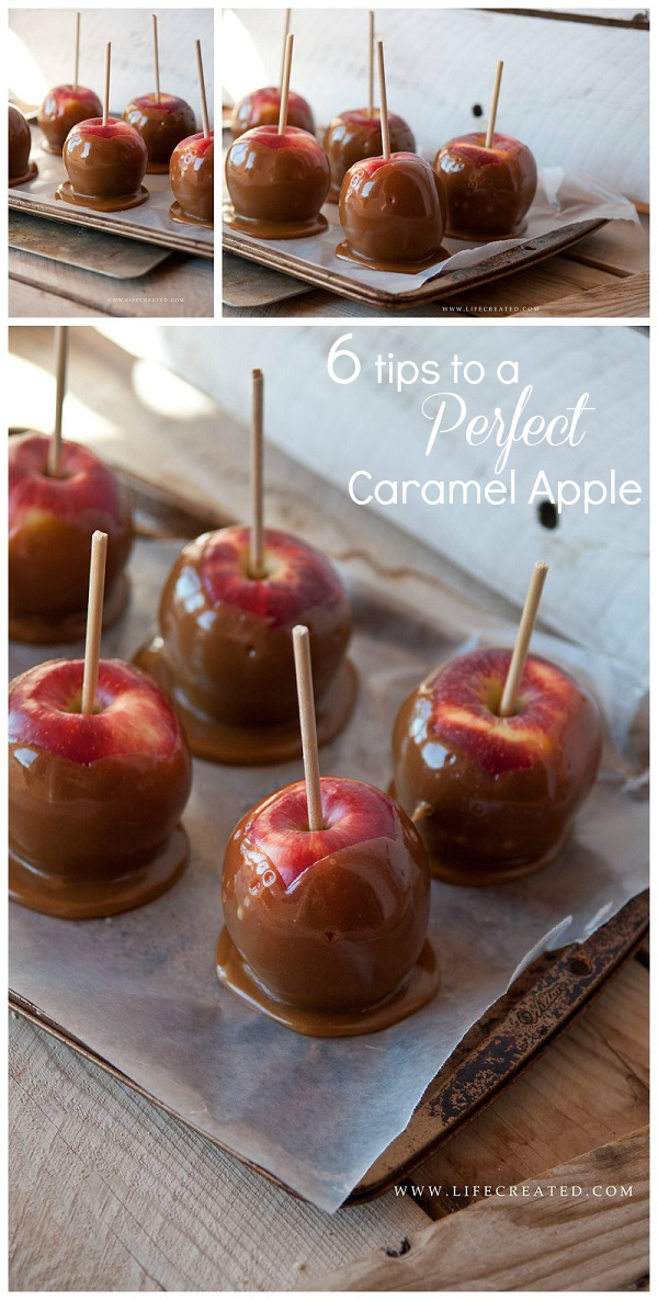 6 Tips to the Perfect Caramel Apple #fall #apples #tips caramel apple tips