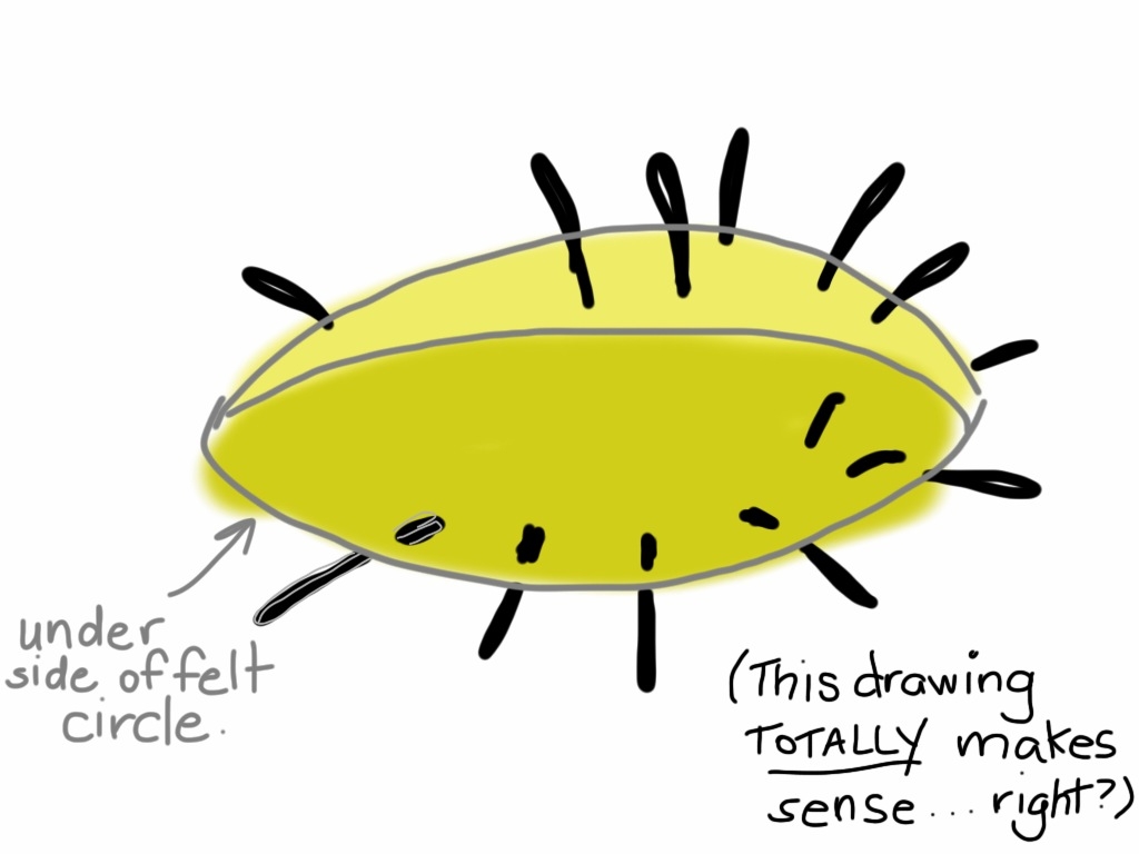hair-diagram-boy