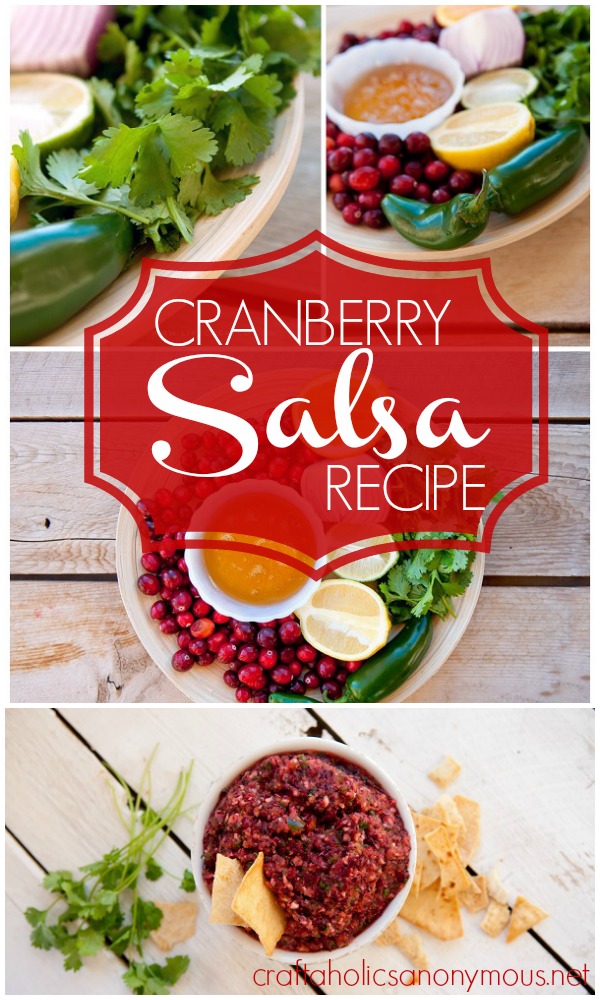 cranberry salsa