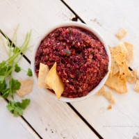Fresh Cranberry Salsa Recipe