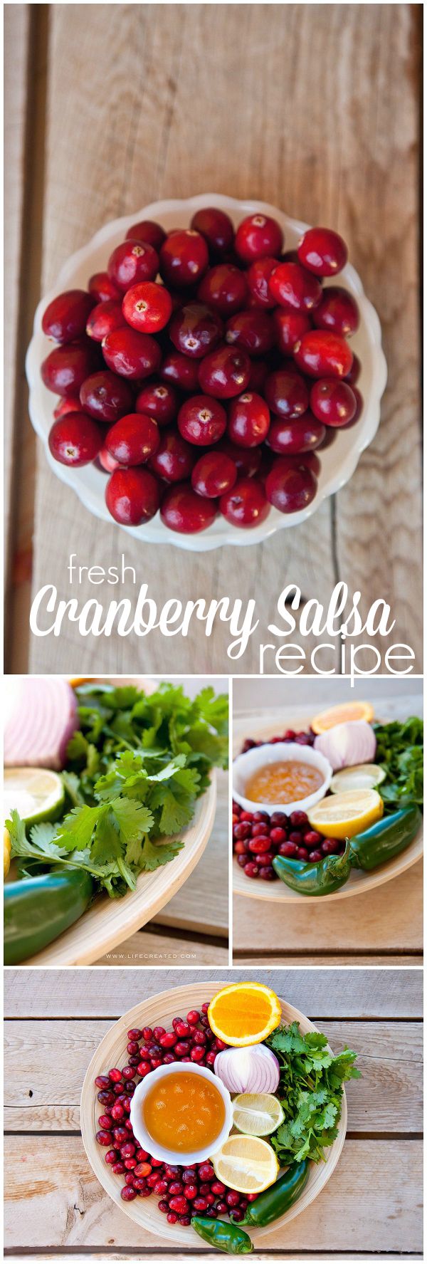 Fresh Cranberry salsa recipe