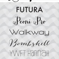 Favorite Fonts for 2014