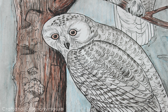 CA-watercolor-owl