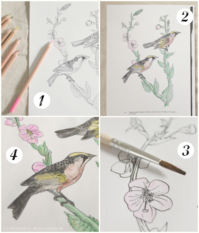 how to paint with watercolor pencils