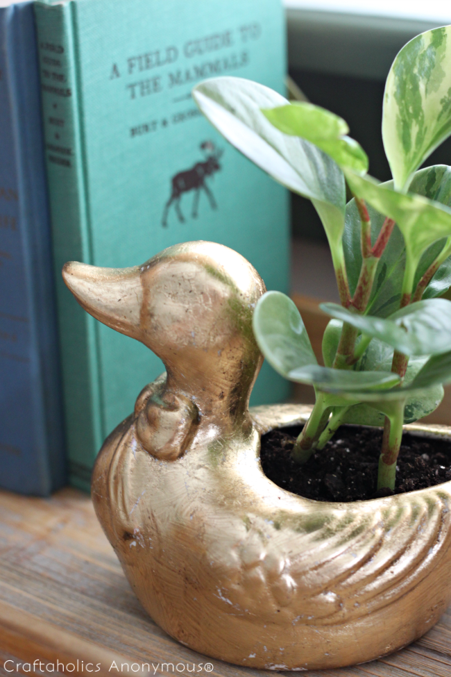 DIY gold duck planter. Awesome makeover! She shares 3 different techniques for gold gilding.
