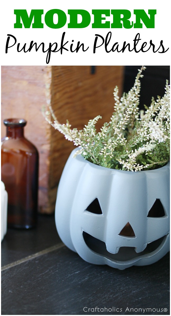DIY Pumpkin Planters with a modern twist! Cheap Halloween decor.