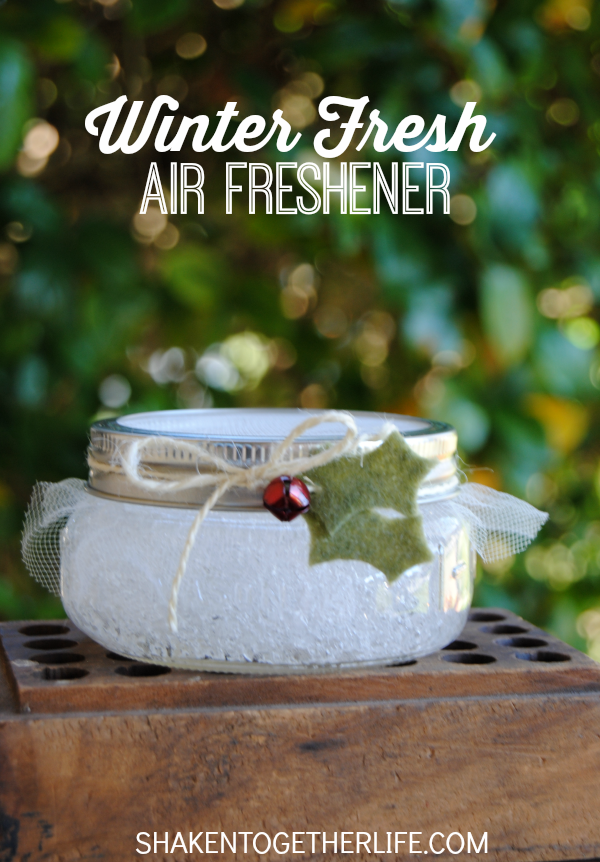 winter-fresh-air-freshener-PIN