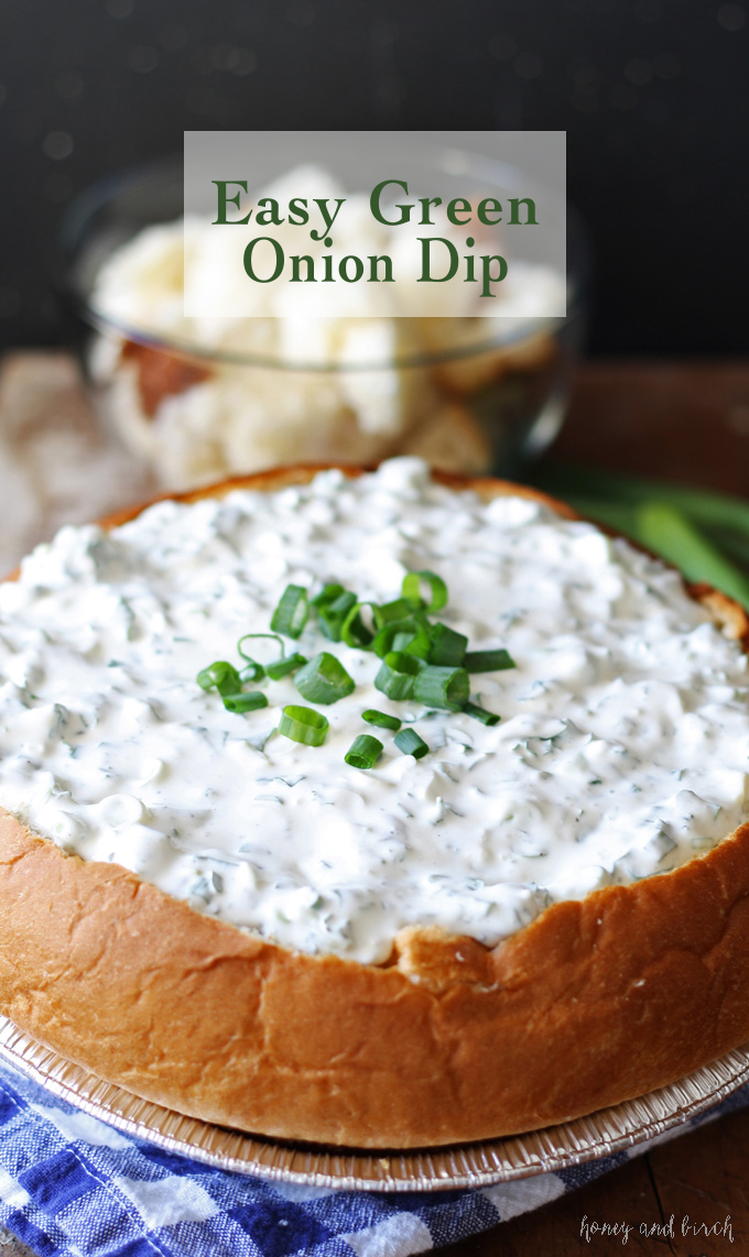 Easy Green Onion Dip