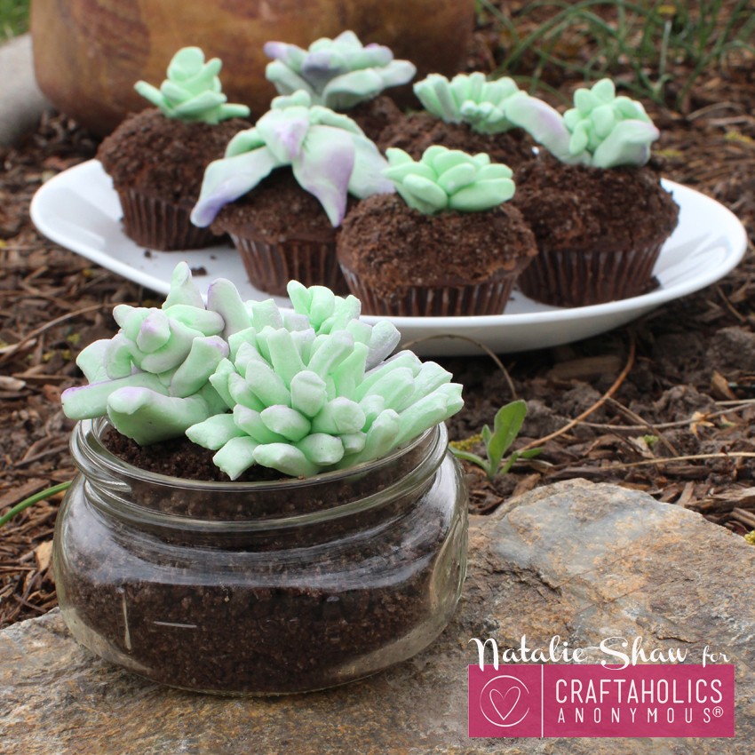edible terrariums succulents marshmallow fondant cupcake dirt cups cake wedding decor mason jar dessert craftaholics anon (20)