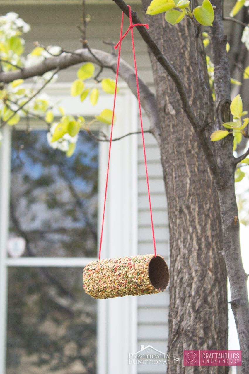 Turn A TP Roll Into A Bird Feeder-6