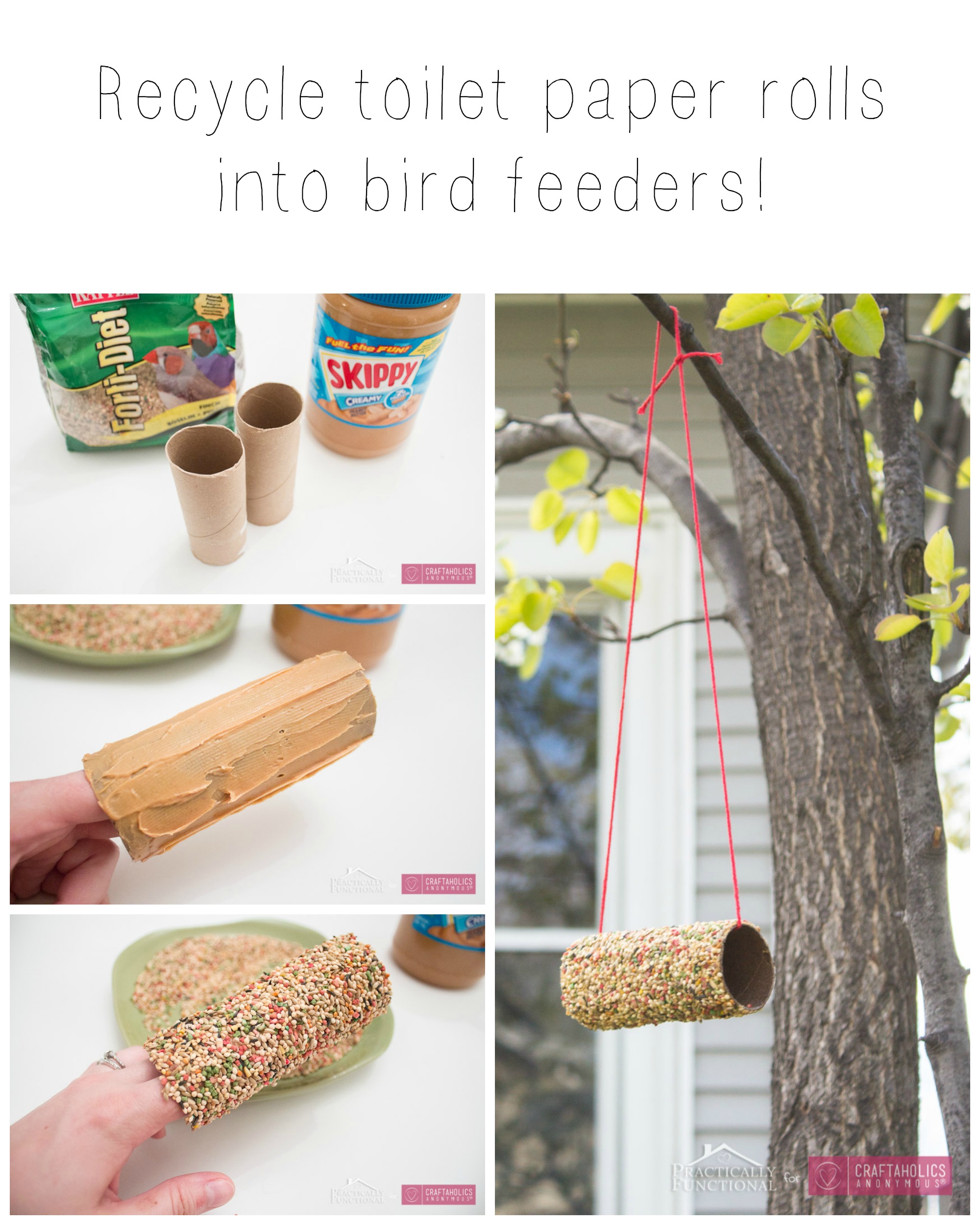 Toilet paper roll bird on sale feeder