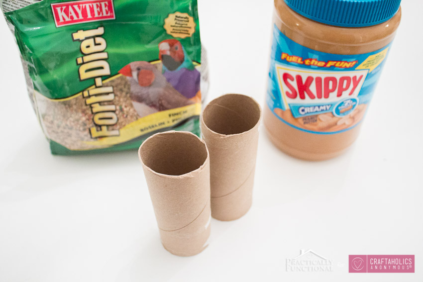 Turn A TP Roll Into A Bird Feeder