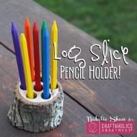 log pencil holder cute decor tree slice slab statement crayon organizing desk (14)