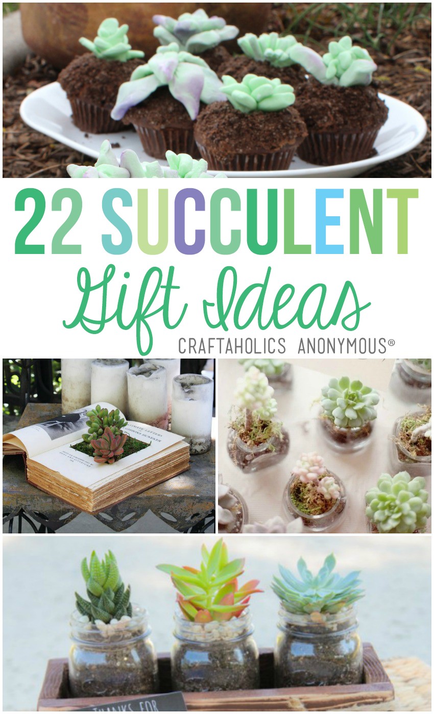 22 Succulent Gift Ideas | Craftaholics Anonymous®