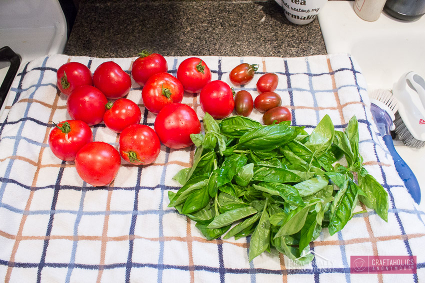 Caprese Bruschetta