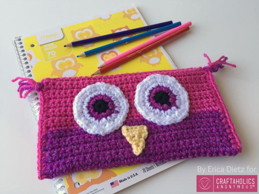 pink purple owl pencil bag