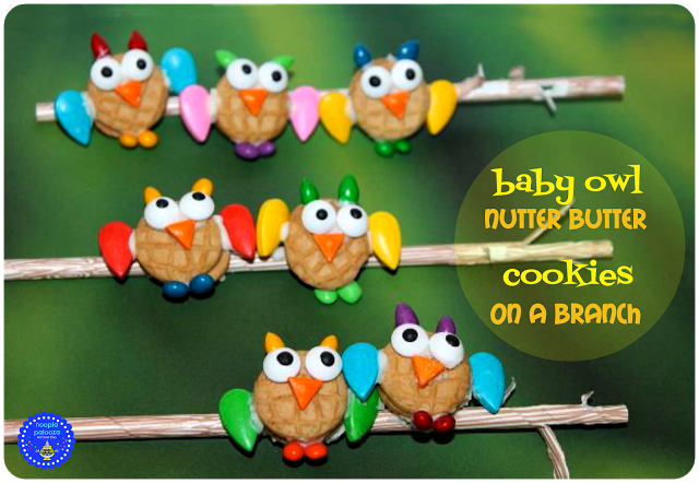 10-baby-owl-nutter-butter-cookies-on-a-straw-branch-title-hooplapalooza