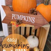 Easy Fall Craft: Pumpkins Arrow Sign