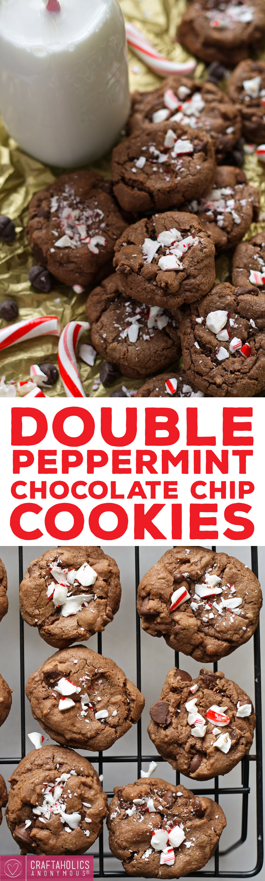 Double Peppermint Chocolate Chip Cookies - perfect for Christmas cookie season!