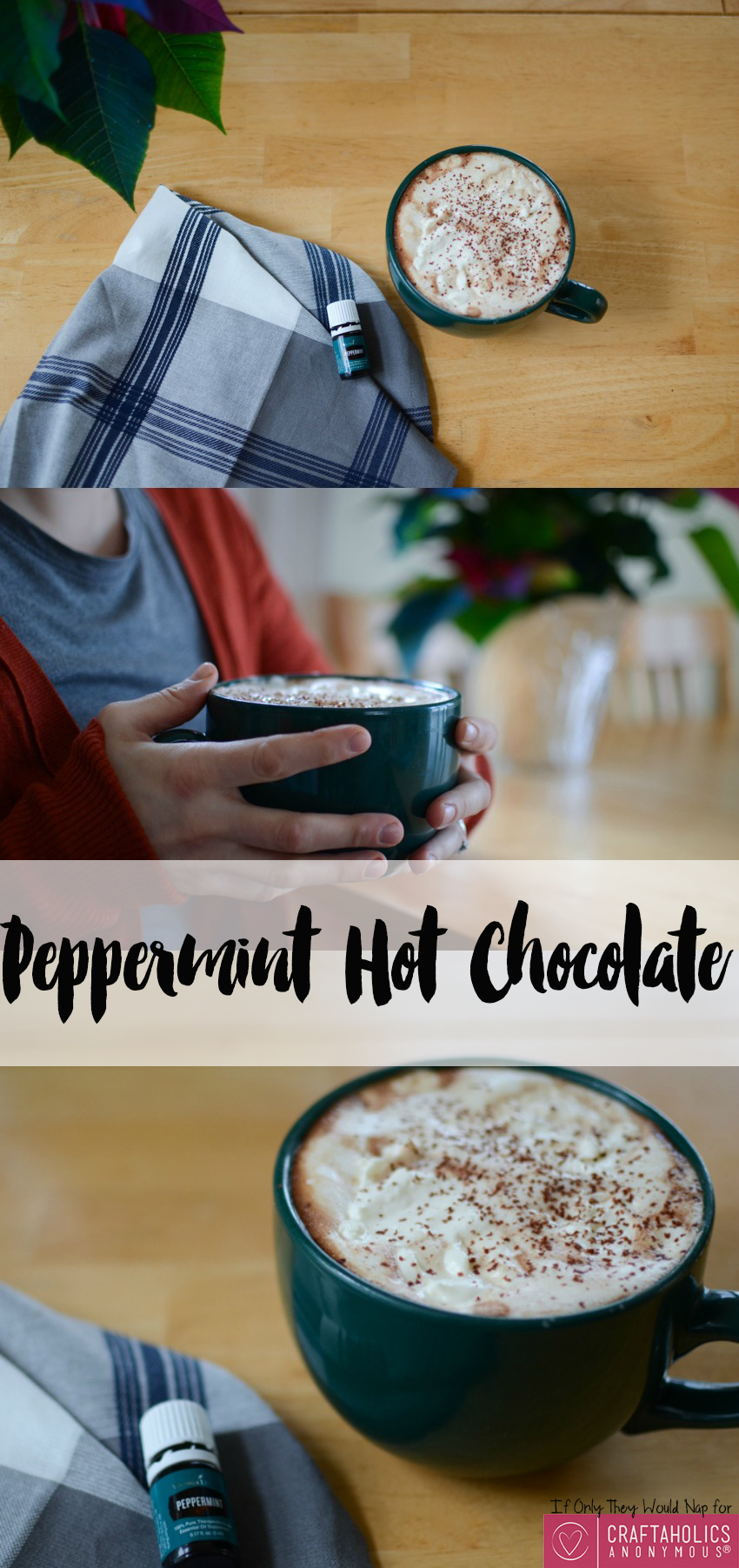 The yummiest Peppermint Hot Chocolate recipe you'll ever taste