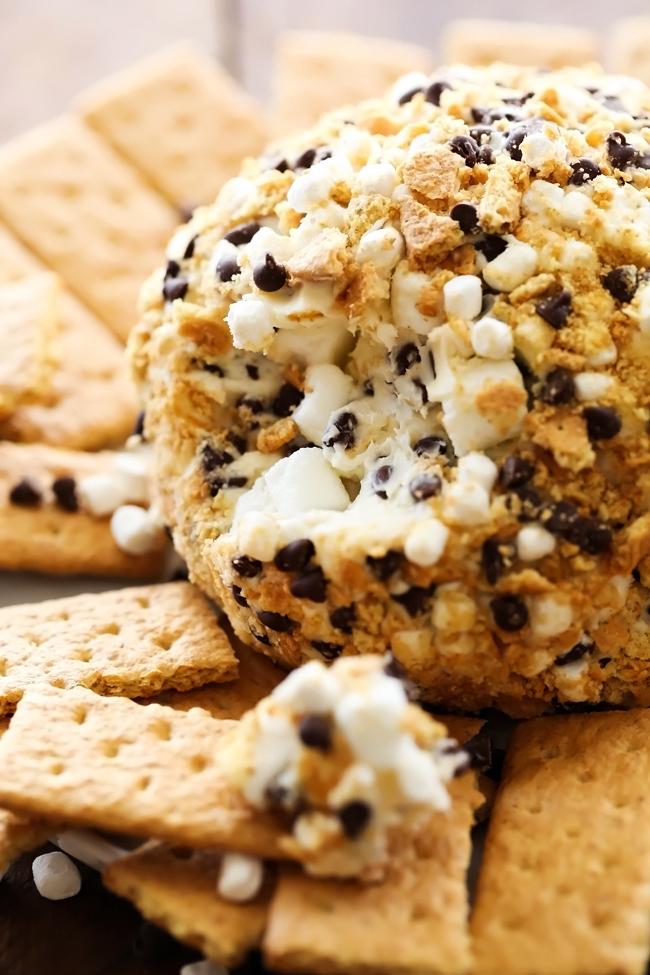 S'mores Cheese Ball