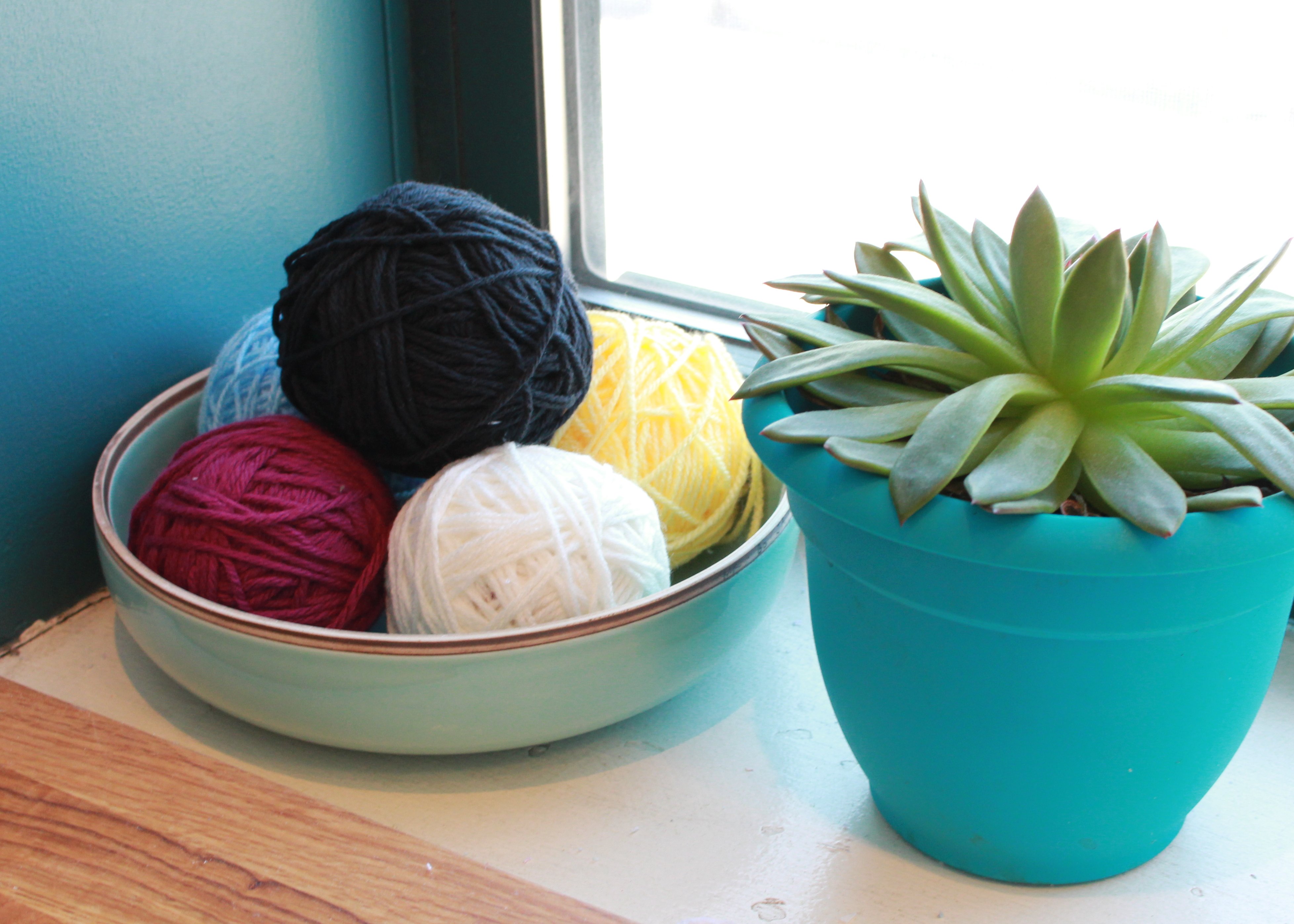 Yarn and Plant