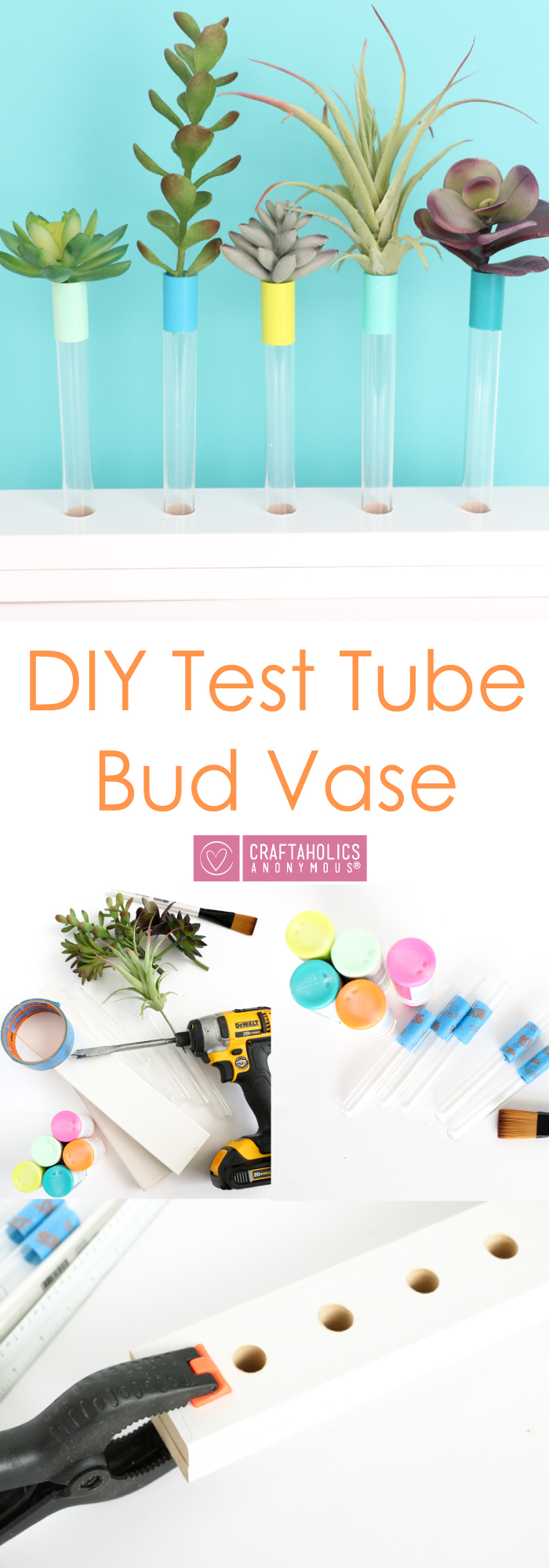 Easy to make test tube bud vases! Make these colorful vases for a cute pop of color with your succulents. Find the tutorial at craftaholicsanonymous.net!