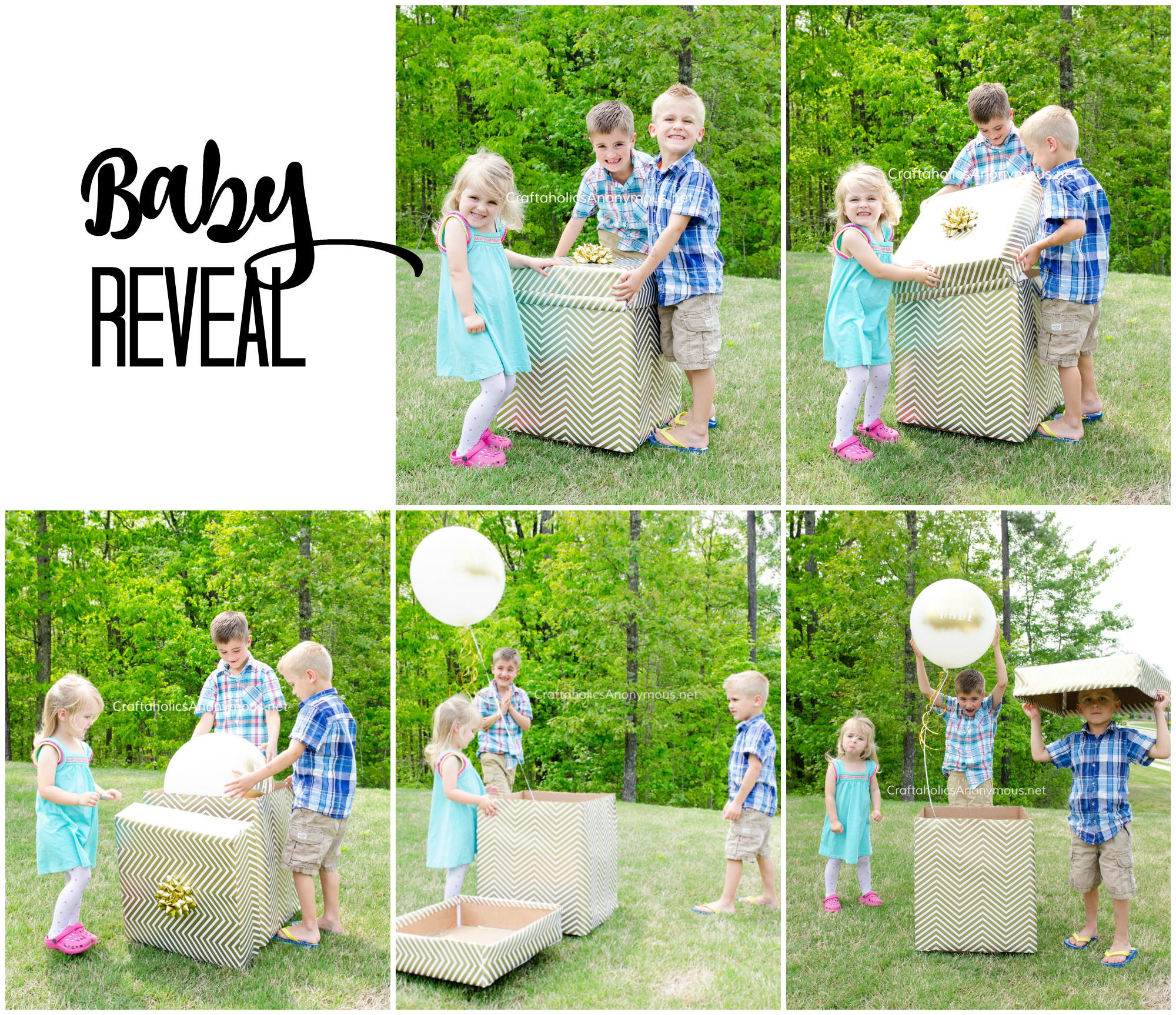Craftaholics Anonymous® | Baby Reveal!