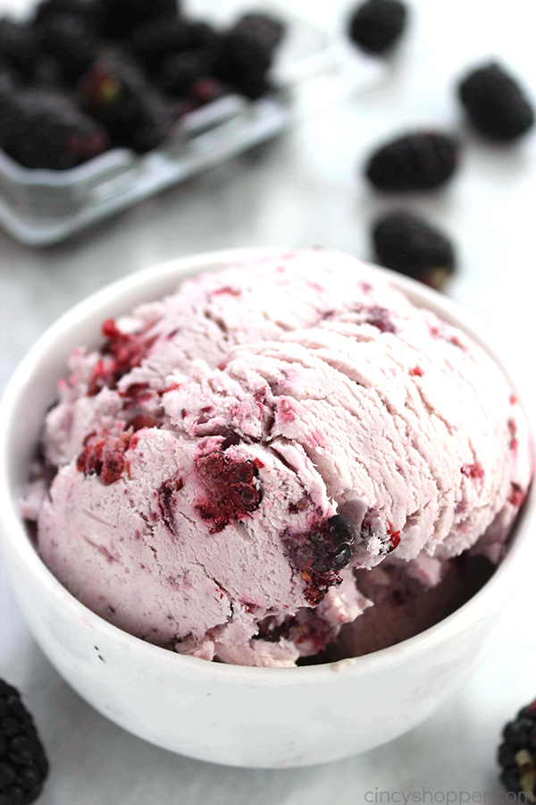 no-churn blackberry ice cream Fruity Ice Creams 18