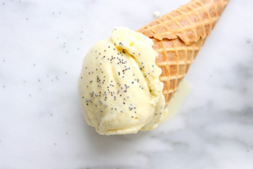 lemon poppyseed ice cream Fruity Ice Creams 19