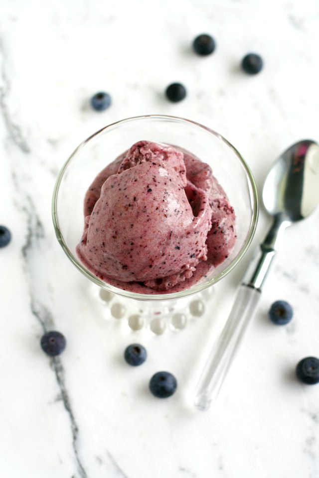 blueberry ice cream Fruity Ice Creams 8