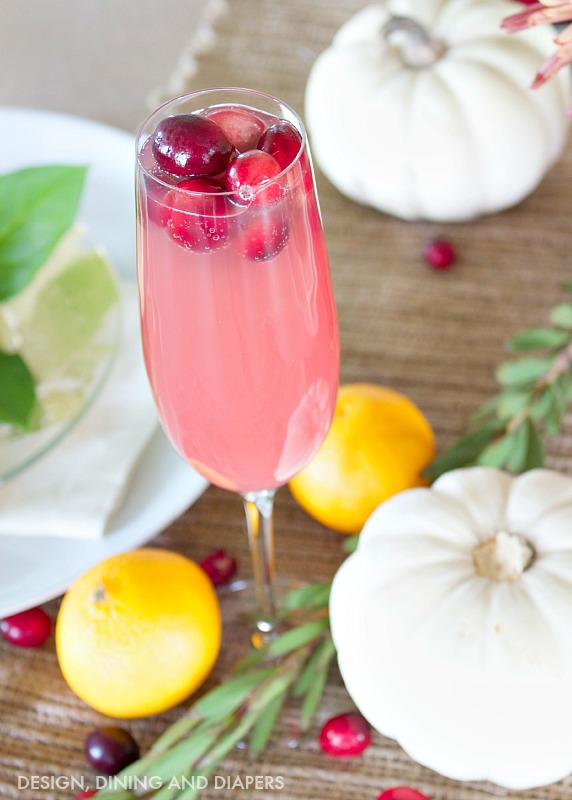 Refreshing Summer Drinks 7