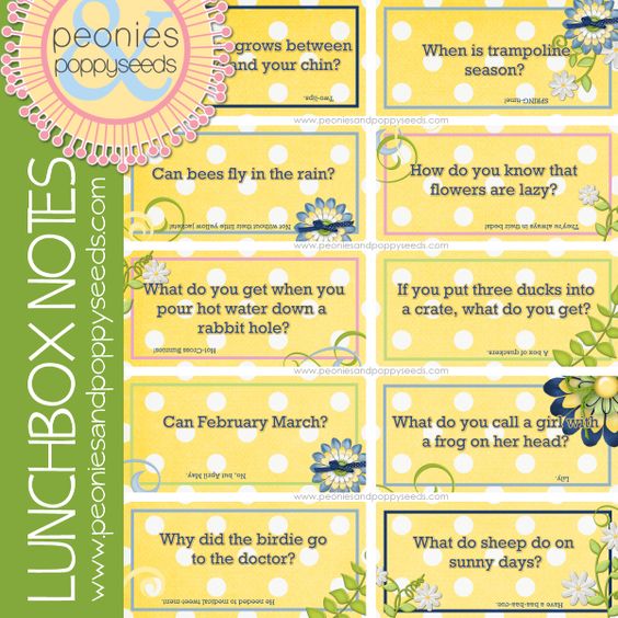 lunch box notes 27